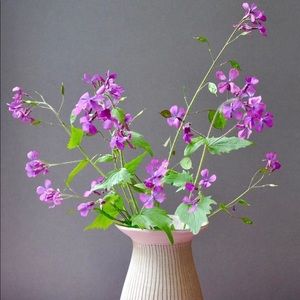 Meet your Posher, Ariel